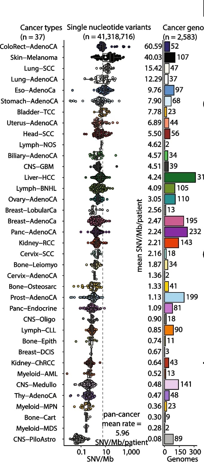 Open access visualization of Box Plot, Scatter Plot, Bar Plot, Mutation Rate, Non-coding Mutations