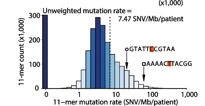 Open access visualization of Histogram, 11-mer, Mutation Rates