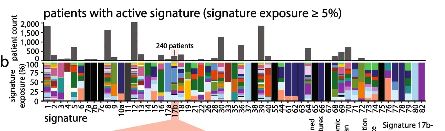 Open access visualization of Bar Plot, Stacked Bar Plot, Signature association, Mutation rate, 11-mers