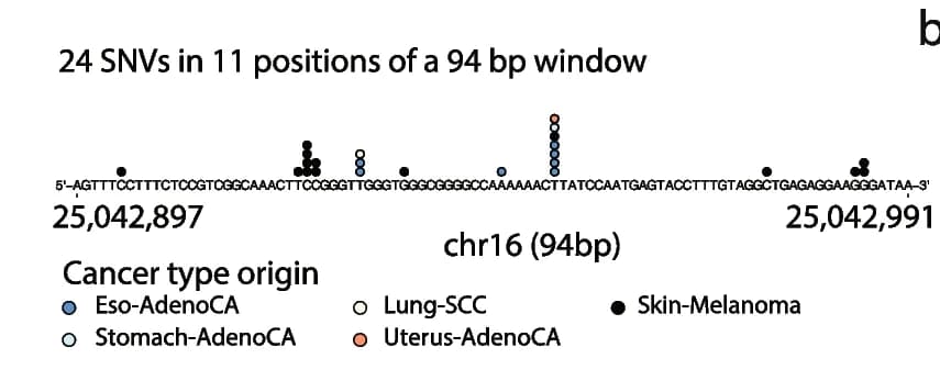 Open access visualization of Scatter Plot, Locuszoom Plot, SNVs, Cancer