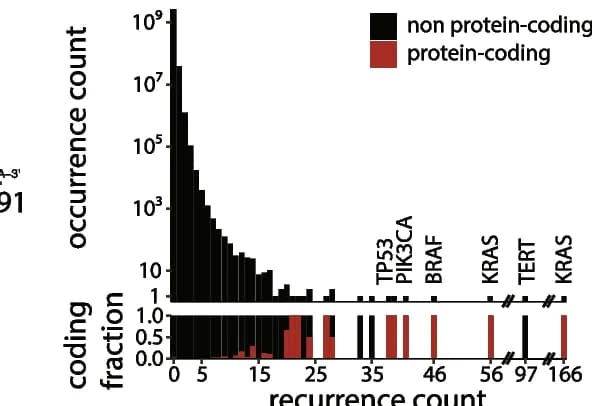 Open access visualization of Histogram, Bar Plot, Hotspot, Protein-coding regions, Non-protein-coding regions