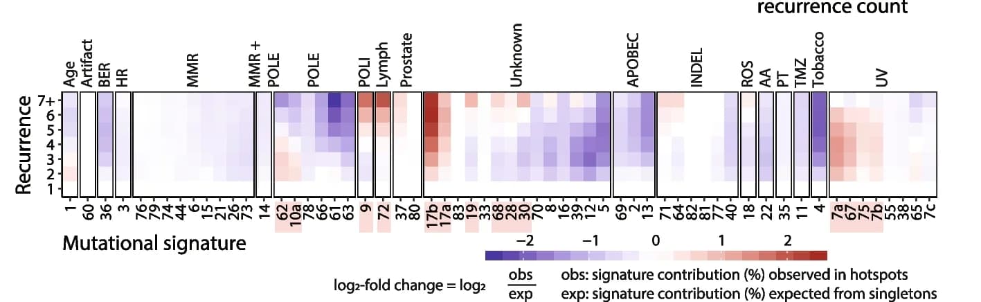Open access visualization of Heatmap, SNVs, Mutational signatures, Hotspot mutations