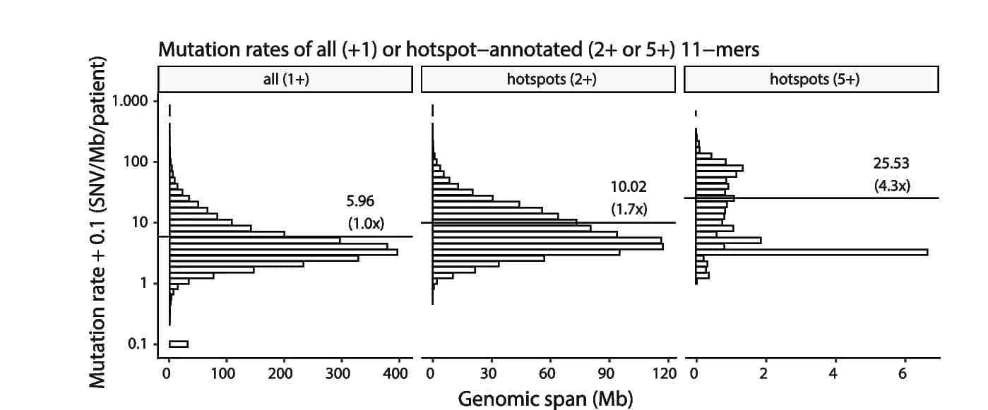 Open access visualization of Histogram, Mutation rates, 11-mers, Hotspot