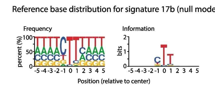 Open access visualization of Line Plot, Bar Plot, Reference Base Distribution, Mutational Profile, Frequency Logo