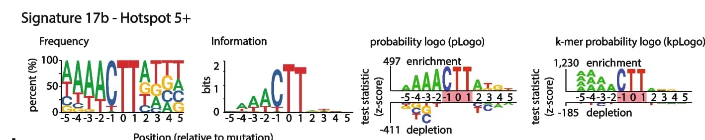 Open access visualization of Line Plot, Motif Visualization, Logo Plots, Frequency Logo, Information Logo