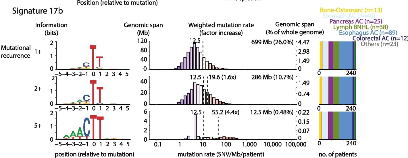 Open access visualization of Bar Plot, Histogram, Stacked Bar Plot, Signature 17b, 11-mers