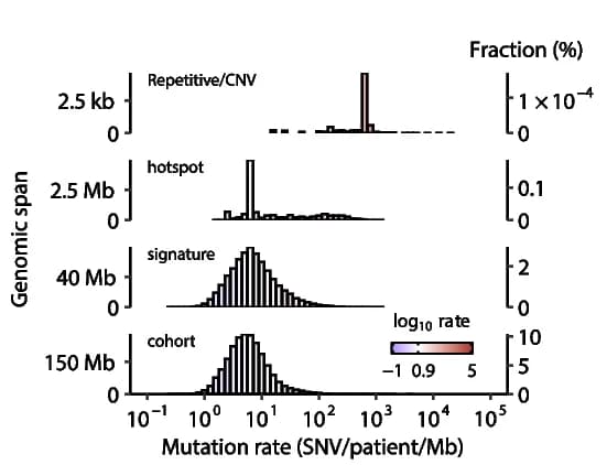 Open access visualization of Histogram, Genomic Spans, Genomic Positions, Mutation Rates, Cohort