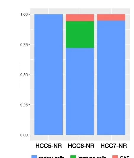 Open access visualization of Stacked Bar Plot, Tumor Cells, Immune Cells, Cancer-Associated Fibroblasts, Non-Responders