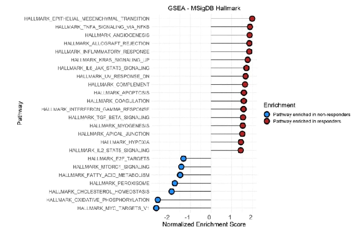 Open access visualization of Scatter Plot, Forest Plot, Pathway Enrichment Analysis, Responders, Non-responders