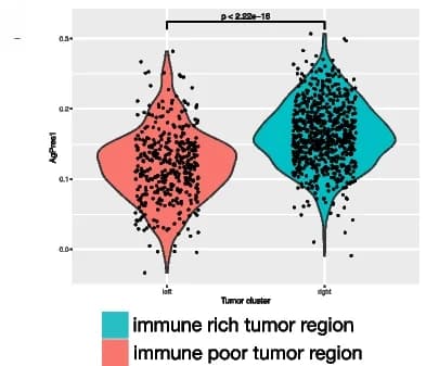 Open access visualization of Violin Plot, Scatter Plot, Antigen Processing, Antigen Presentation, Immune-rich Region