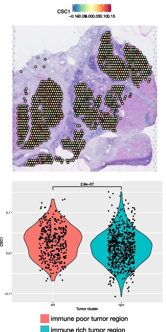 Open access visualization of Violin Plot, Microscopy, Scatter Plot, Cancer Stem Cell Markers, Immune-Poor Tumor Region
