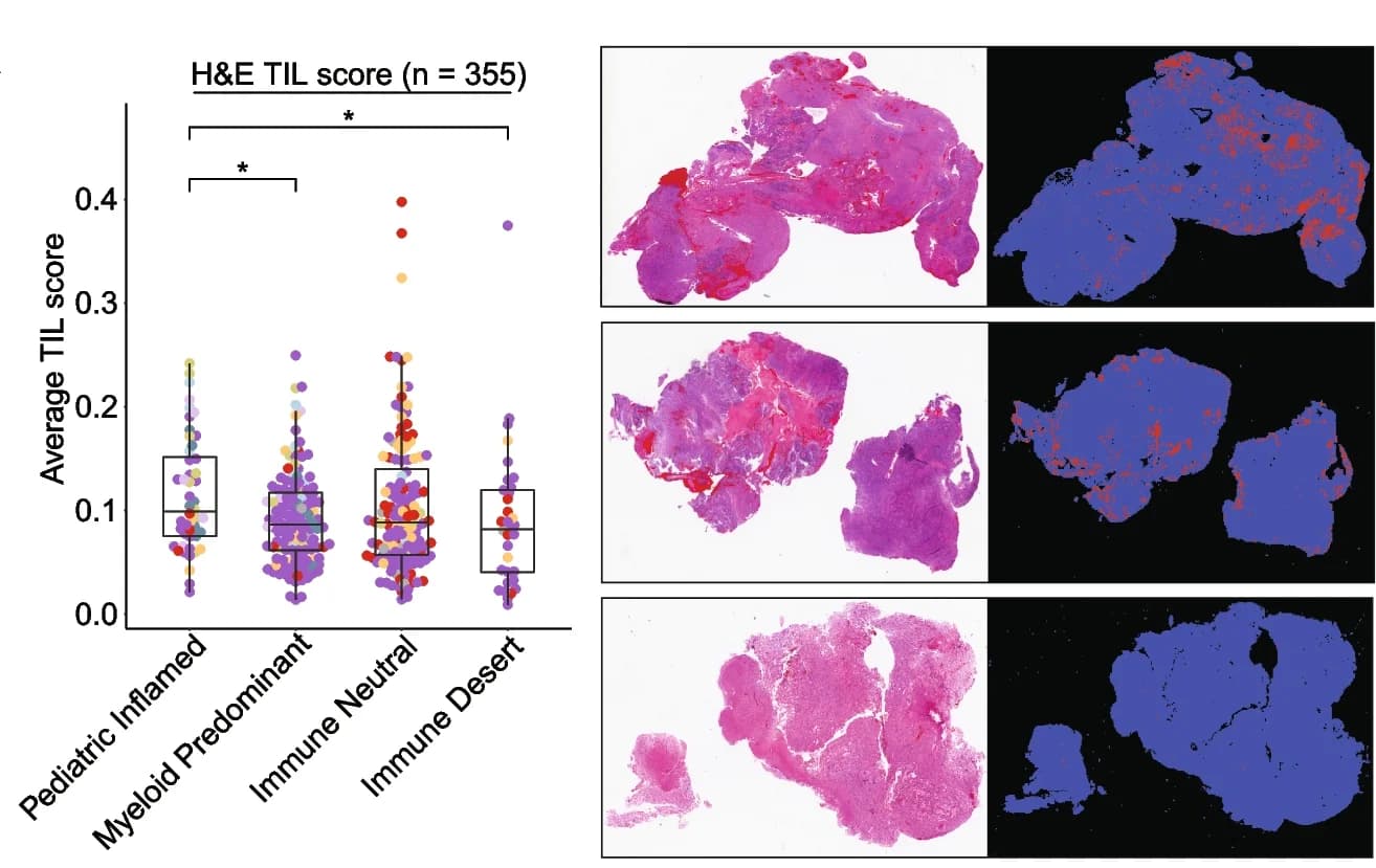 Open access visualization of Violin Plot, Box Plot, Scatter Plot, Microscopy, Boxplot