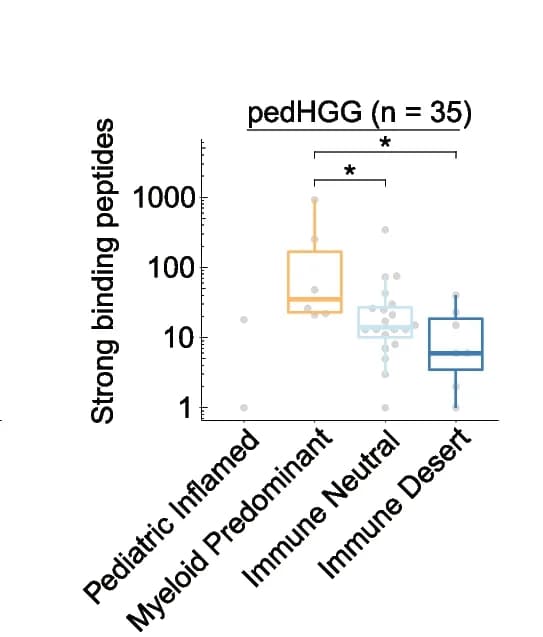 Open access visualization of Box Plot, Scatter Plot, Peptides, pedHGG, Immune clusters