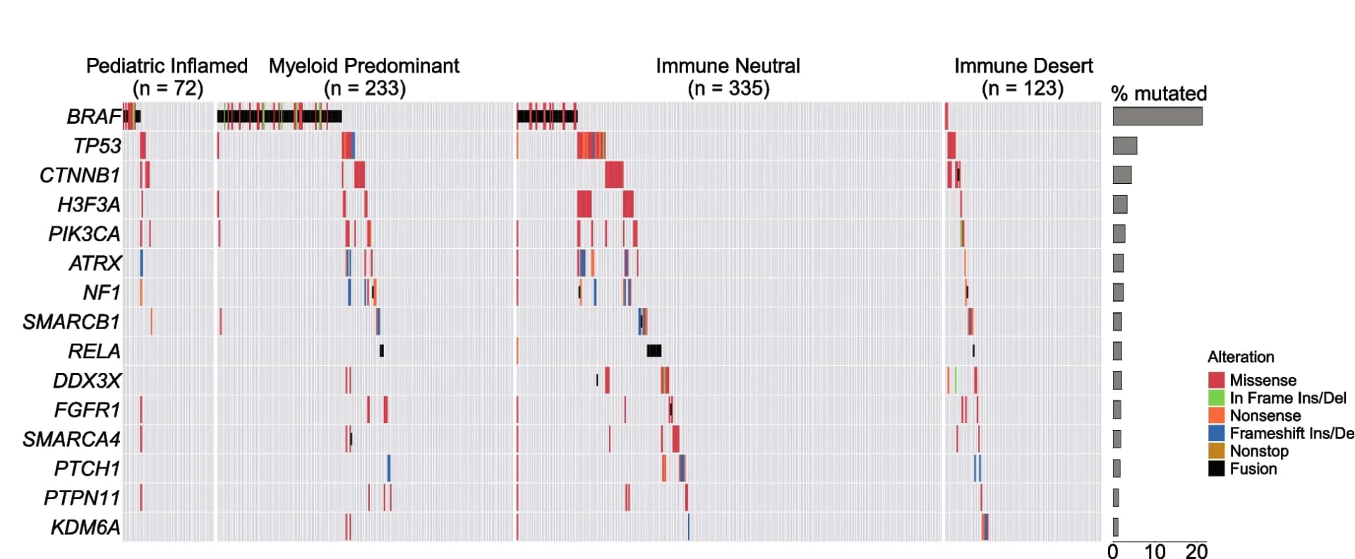 Open access visualization of Bar Plot, Heatmap, Somatic mutations, Genes, pedNST