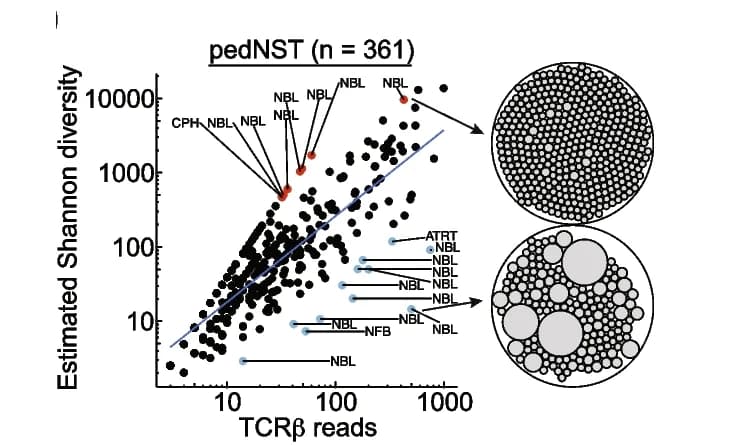 Open access visualization of Scatter Plot, Bubble Plot, TCR Shannon Diversity, TCR Reads, Linear Regression