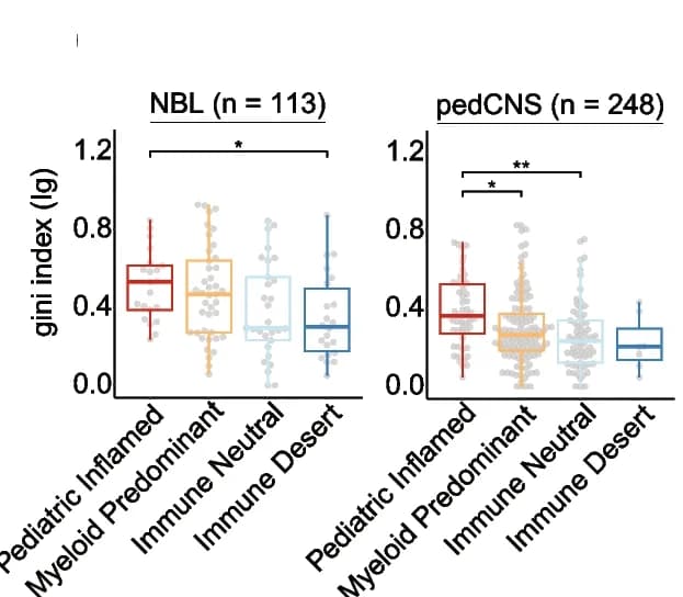 Open access visualization of Box Plot, Scatter Plot, Immunoglobulin Clonality, Gini Index, Immune Clusters