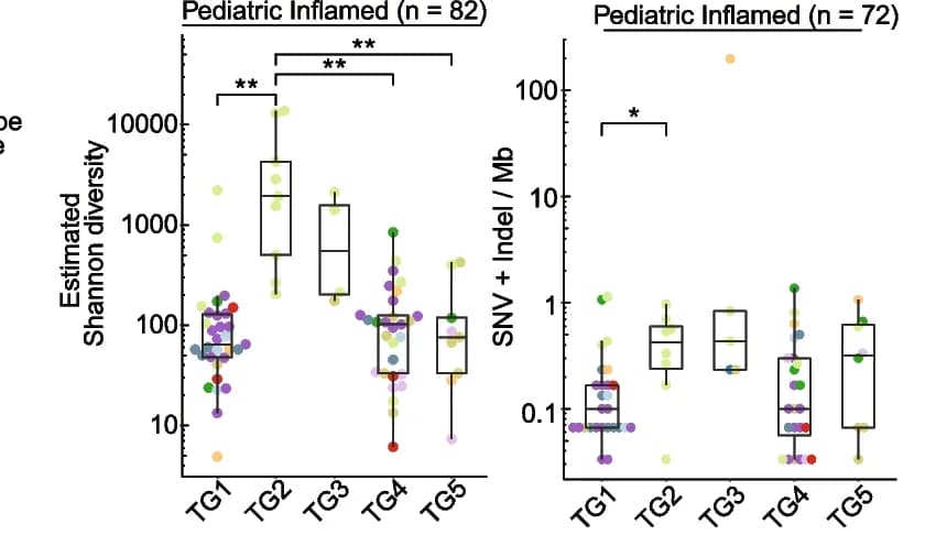 Open access visualization of Box Plot, Scatter Plot, Boxplots, TCR Shannon Diversity, TMB