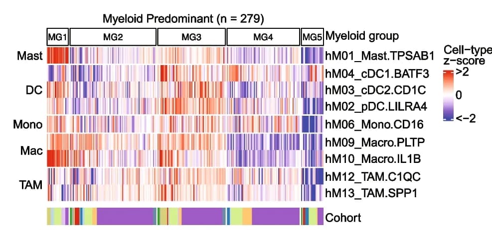 Open access visualization of Heatmap, Gene Set Enrichment Scores, Myeloid Cell Subtypes, Dendritic Cell, Monocyte