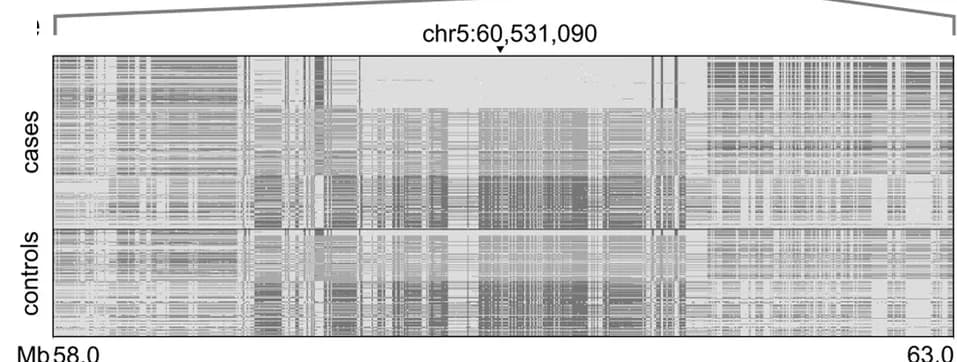 Open access visualization of Heatmap, Genotype Plot, Chromosome 5