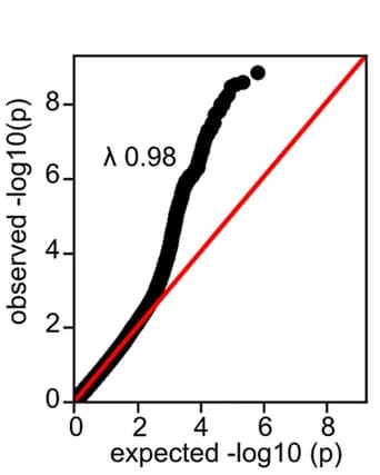 Open access visualization of QQ Plot, Q-Q Plot, P-value, Likelihood Ratio Test