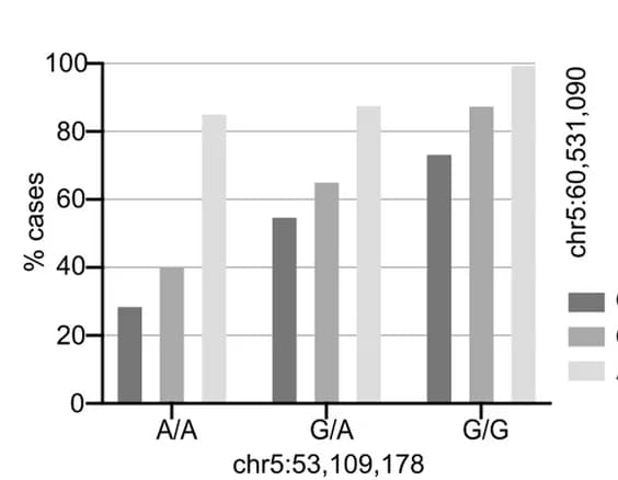 Open access visualization of Bar Plot, Clustered, Frequency, Genotype, Chromosome 5