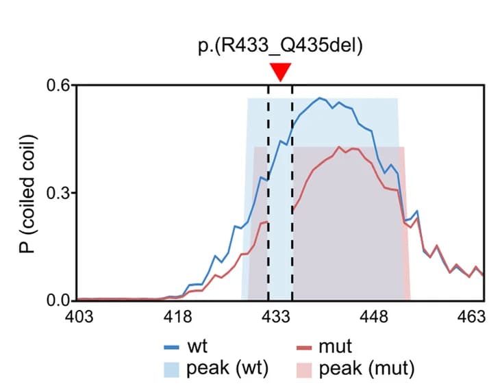 Open access visualization of Line Plot, Coiled-Coil Conformation, Wild Type, DeepCoil2, Protein Sequence