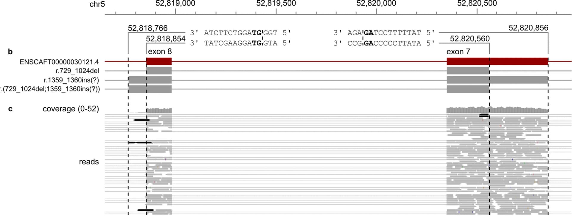 Open access visualization of Line Plot, Bar Plot, Splice Sites, RNA-seq Data, Exon-Intron Junctions