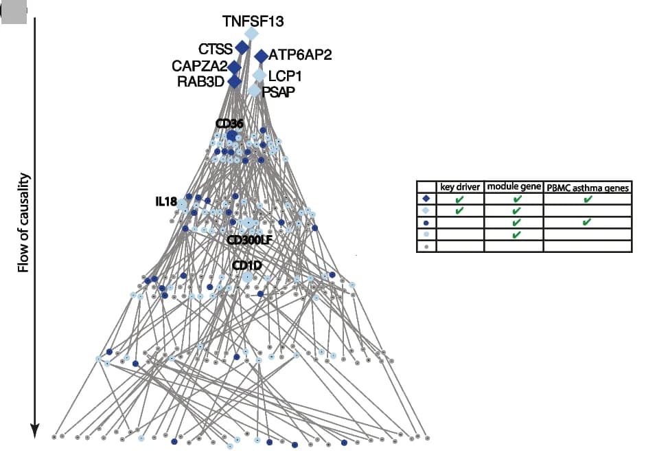 Open access visualization of Network, Pathway, Table Image, Probabilistic causal network, Interleukin production