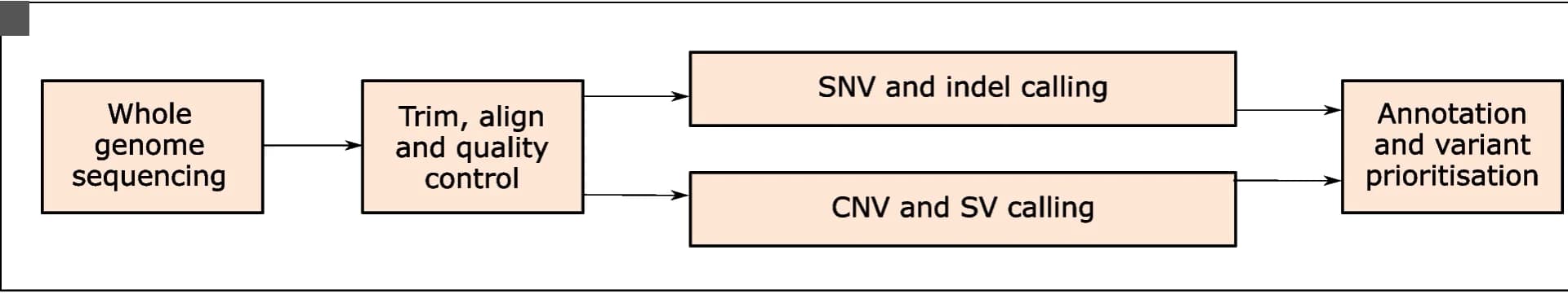 Open access visualization of Workflow, Flowchart, Bioinformatics, Variant Identification