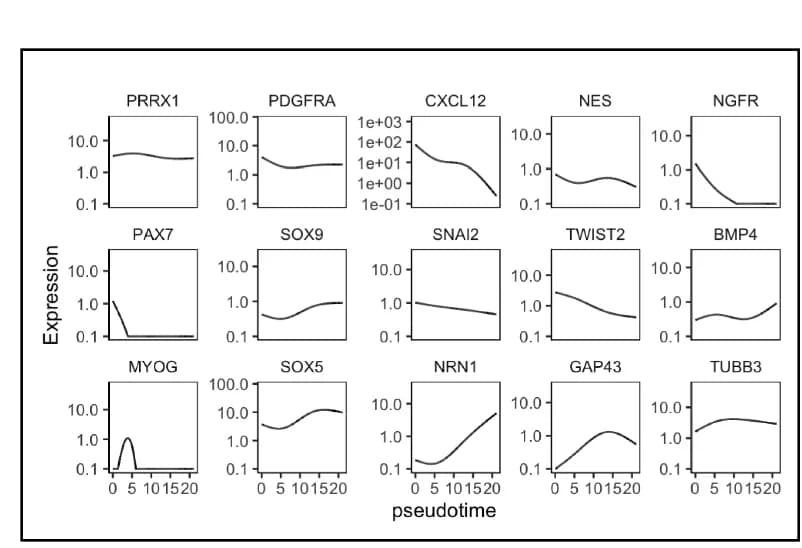 Open access visualization of Line Plot, Pseudotime Trajectory, Mesenchymal Marker, CXCL12, NC-related Markers
