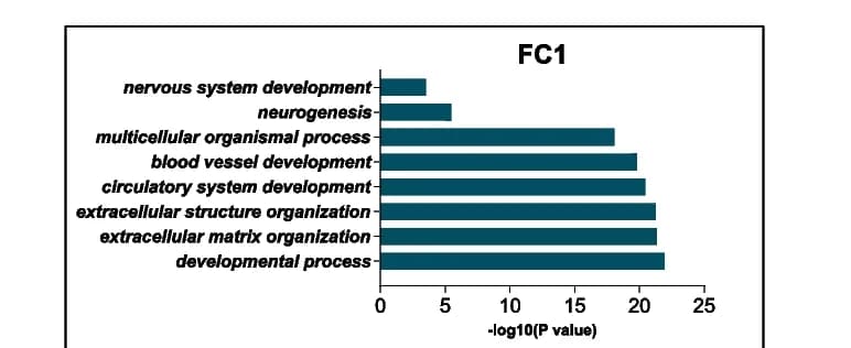 Open access visualization of Bar Plot, Biological Process Analysis, Neural Differentiation