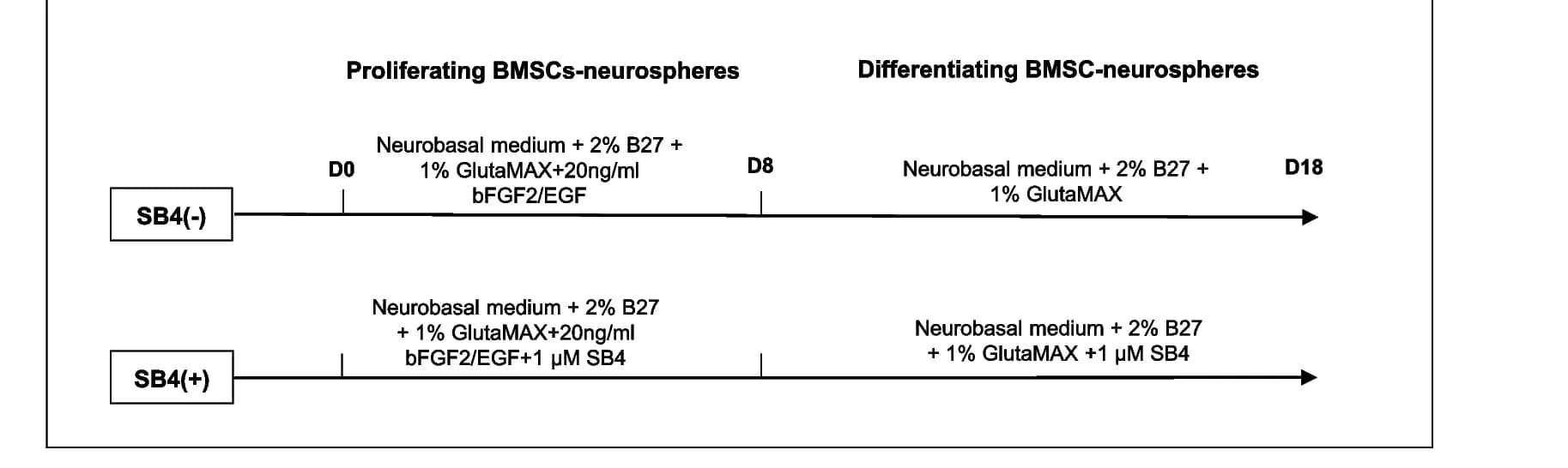 Open access visualization of Workflow, Flowchart, Culture Conditions, BMSC-Neurospheres, Differentiation