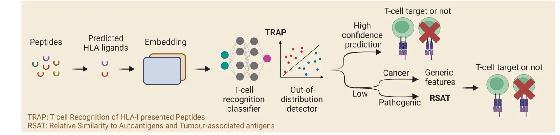 Open access visualization of Workflow, Flowchart, Scatter Plot, TRAP workflow, T-cell epitopes