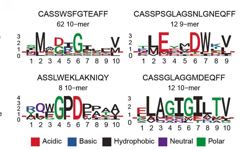 Open access visualization of Illustration, Sequence logos, Peptides, TCR, Physicochemical properties