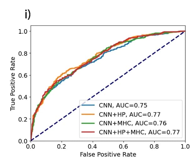Open access visualization of Line Plot, Immunogenicity, MHC Binding, Hydrophobicity, Peptide Sequence