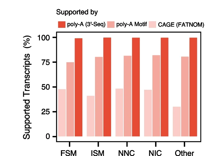 Open access visualization of Bar Plot, Clustered, Long-read ONT transcripts, TSSs, CAGE peaks
