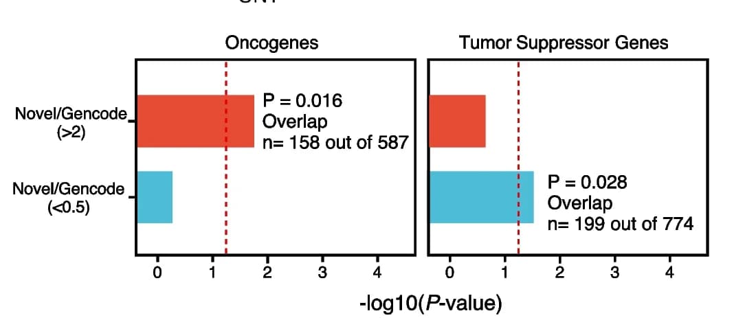 Open access visualization of Bar Plot, Enrichment Analysis, Oncogenes, Tumor Suppressor Genes, Novel Transcripts