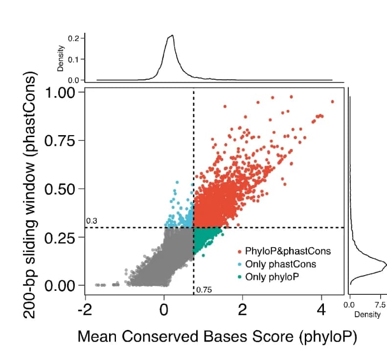 Open access visualization of Scatter Plot, Density Plot, PhyloP Score, PhastCon Score, Novel Transcripts