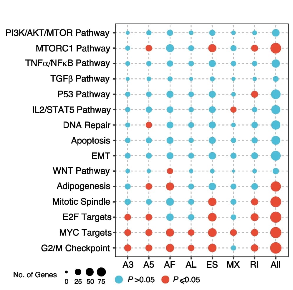 Open access visualization of Bubble Plot, Enrichment Analysis, DEAS Events, Hallmark Pathways, MSigDB