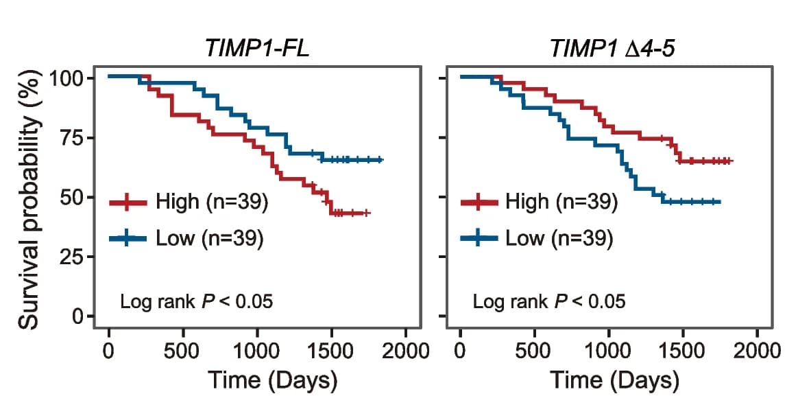 Open access visualization of Survival Curve, Line Step, Kaplan-Meier Survival Analysis, TIMP1-FL, TIMP1 4-5