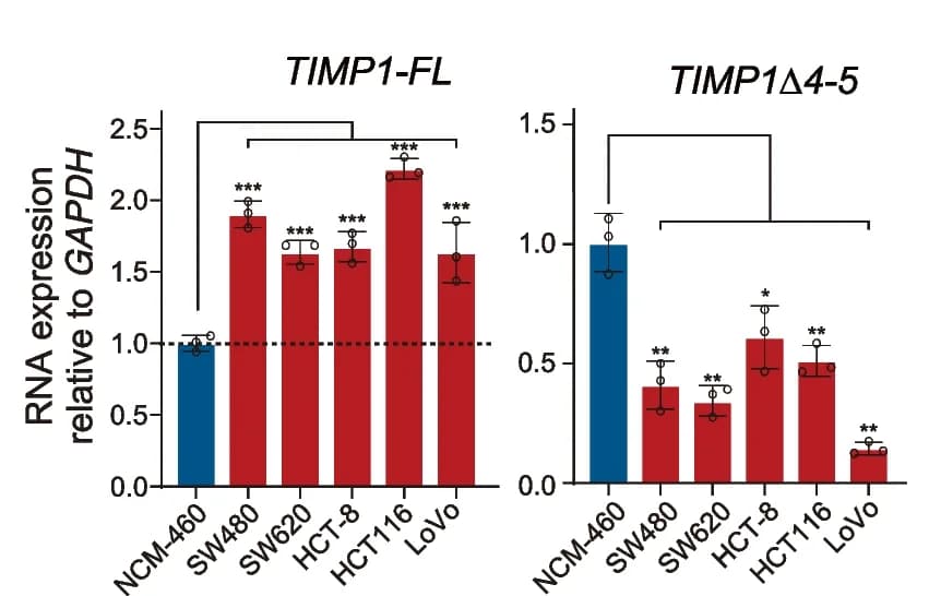 Open access visualization of Bar Plot, Error Bars, qRT-PCR, TIMP1-FL, TIMP1 4-5