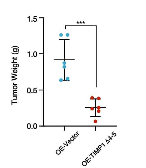 Open access visualization of Scatter Plot, Error Bars, Tumor Weight, Xenograft Mouse Model, ANOVA