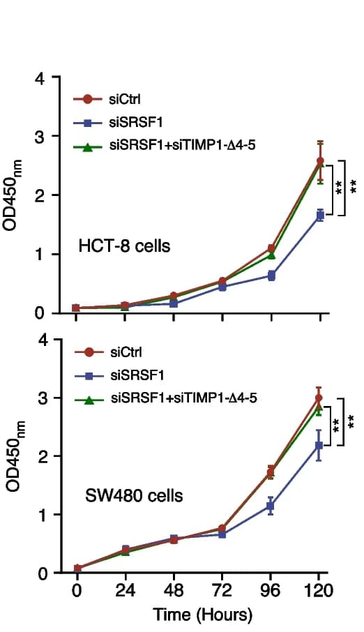 Open access visualization of Line Plot, Error Bars, MTT Assay, HCT-8 Cells, SW480 Cells