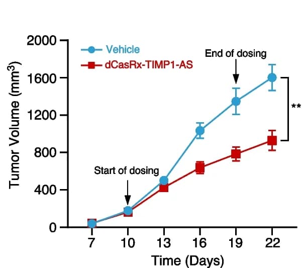 Open access visualization of Line Plot, Error Bars, Tumor Growth, Xenograft Mouse Model