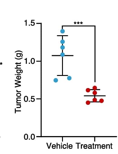 Open access visualization of Scatter Plot, Error Bars, Tumor Weight, Xenograft Mouse Model