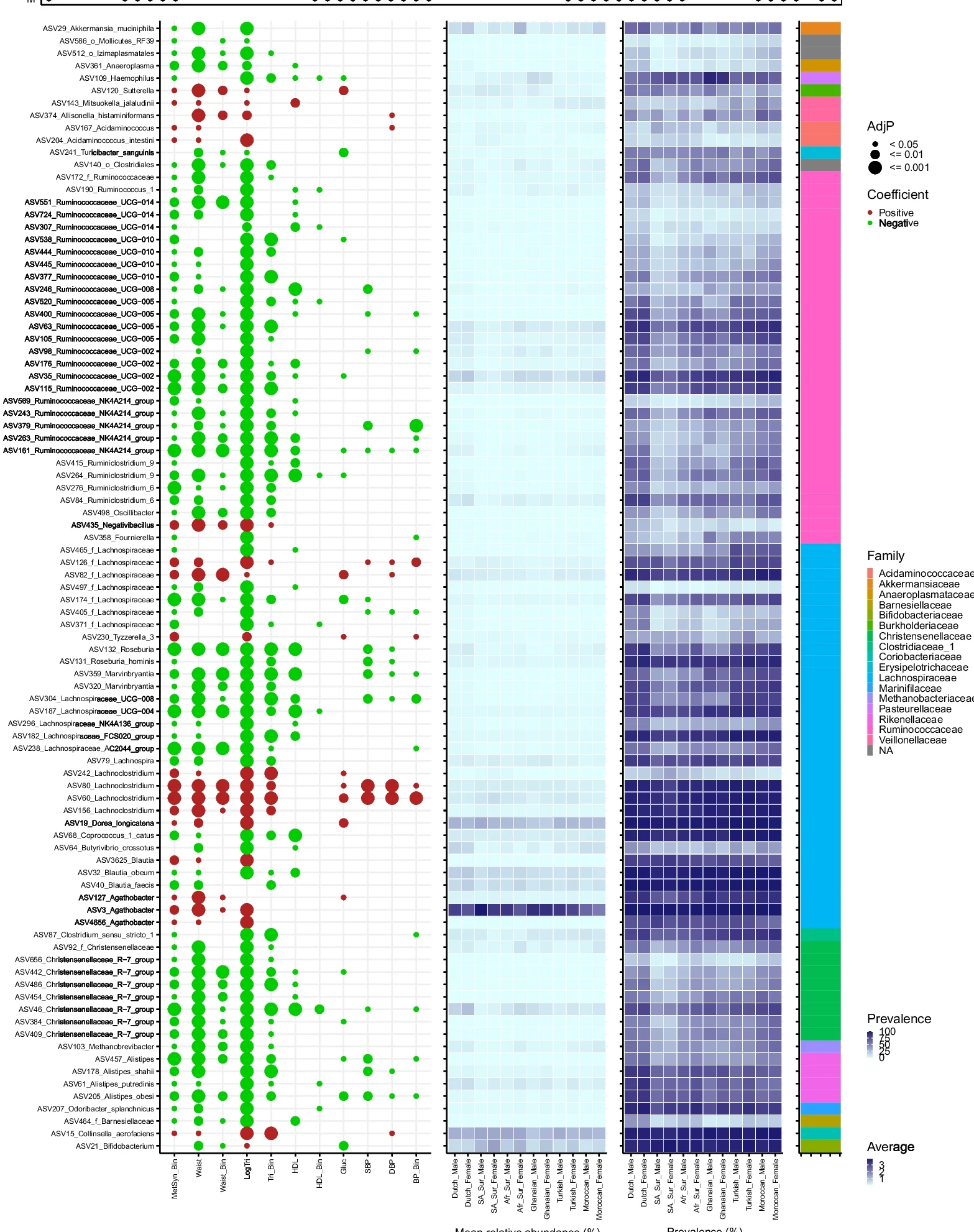 Open access visualization of Bubble Plot, Heatmap, Significant ASVs, Components, Metabolic Syndrome