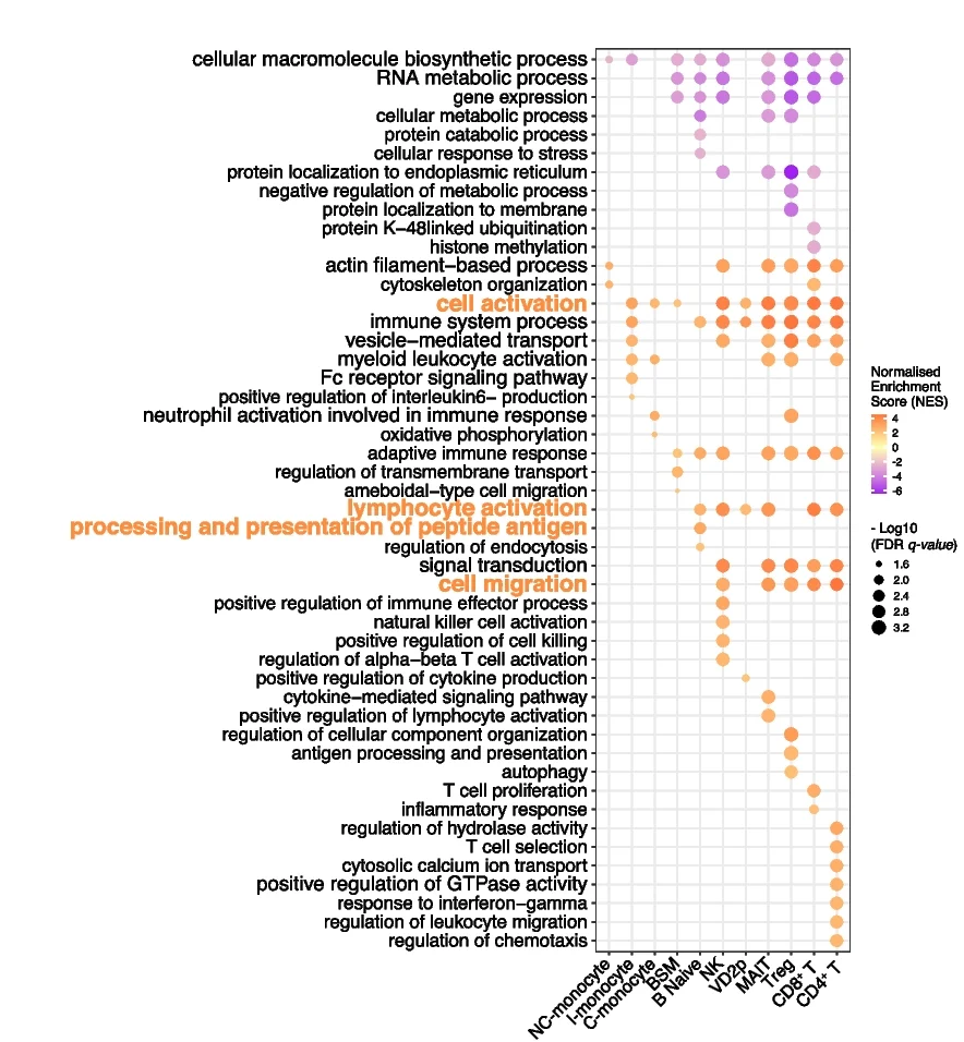 Open access visualization of Scatter Plot, Gene Set Enrichment Analysis, GSEA, Dot Plot, Biological Processes