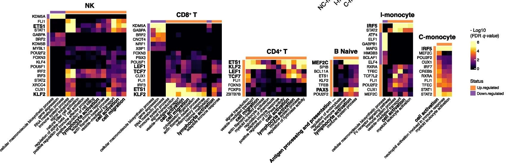 Open access visualization of Heatmap, Clustered, GSEA, Leading-Edge Genes, Differential Regulons