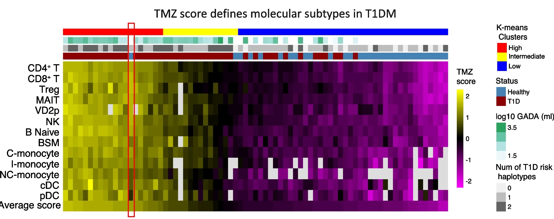 Open access visualization of Heatmap, TMZ Score, Pseudo-bulk Expression, T1DM, Immune Cell Types
