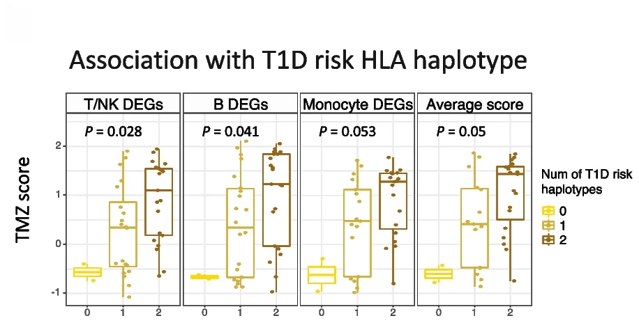 Open access visualization of Box Plot, Scatter Plot, TMZ Score, T1DM Risk Haplotype, Kruskal-Wallis ANOVA